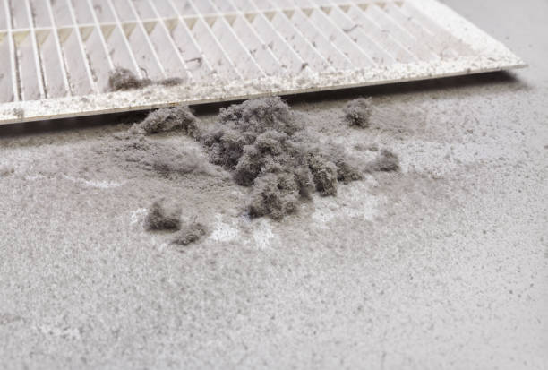 Best Home Air Vent Cleaning  in Dalworthington Gardens, TX